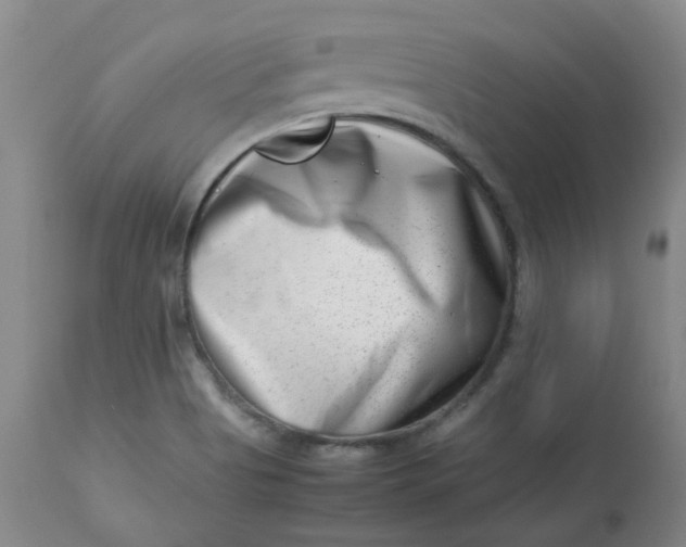 X0000112811513200909111247