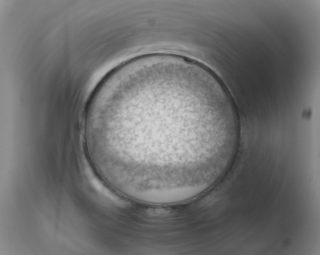 X0000112811515200909111247