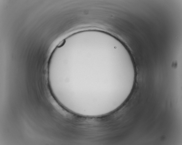 X0000112811516200909111247