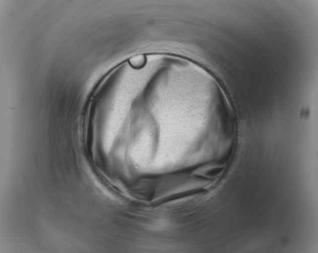 X0000112811517200909111247