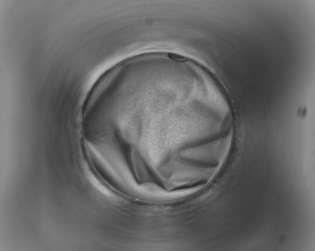 X0000112811519200909111247