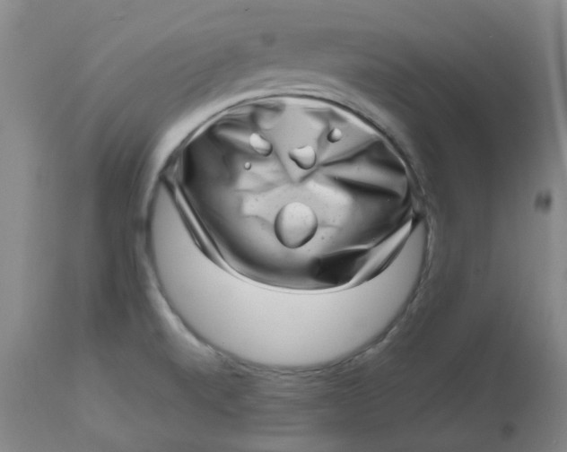 X0000112811520200909111247