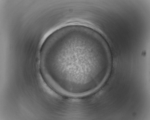 X0000112811522200909111247