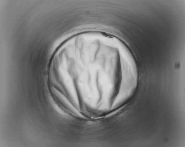 X0000112811523200909111247