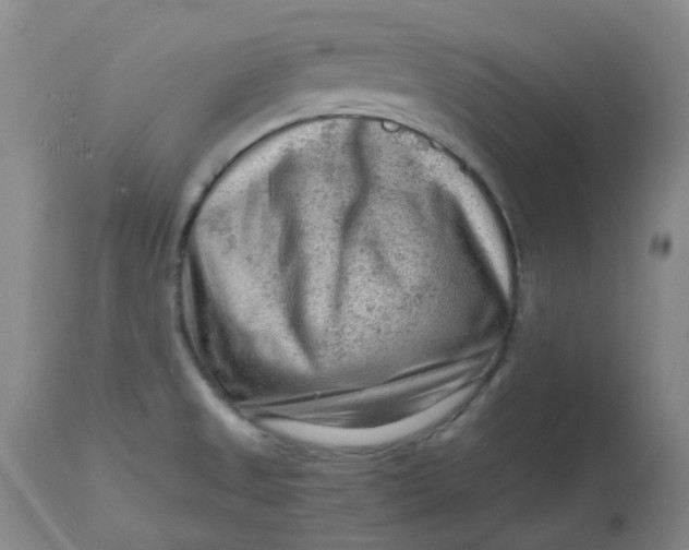 X0000112811525200909111247