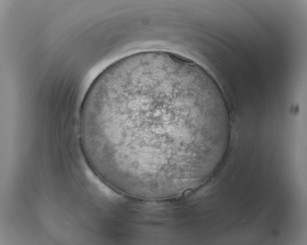 X0000112811527200909111247