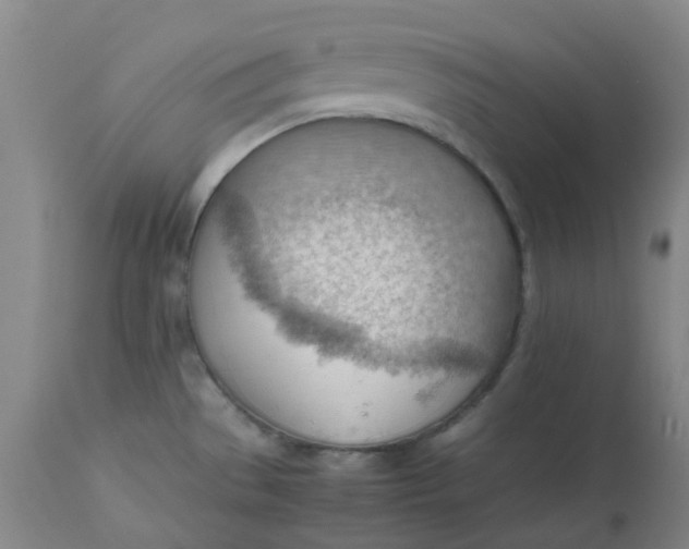 X0000112811529200909111248