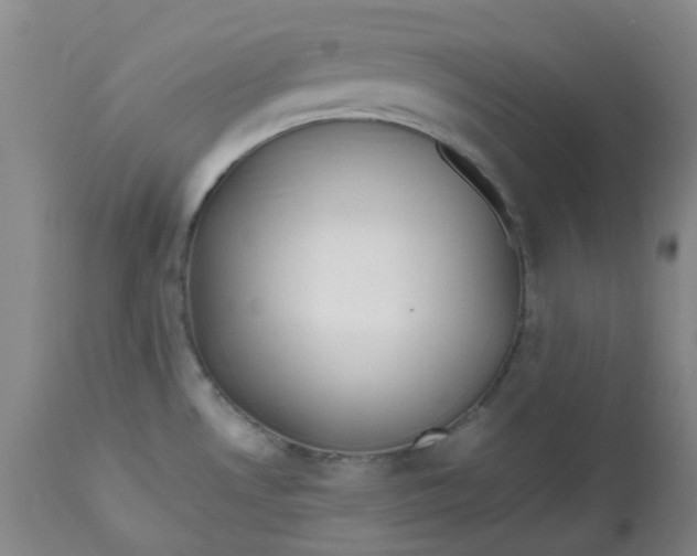 X0000112811530200909111248