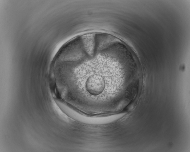 X0000112811532200909111248