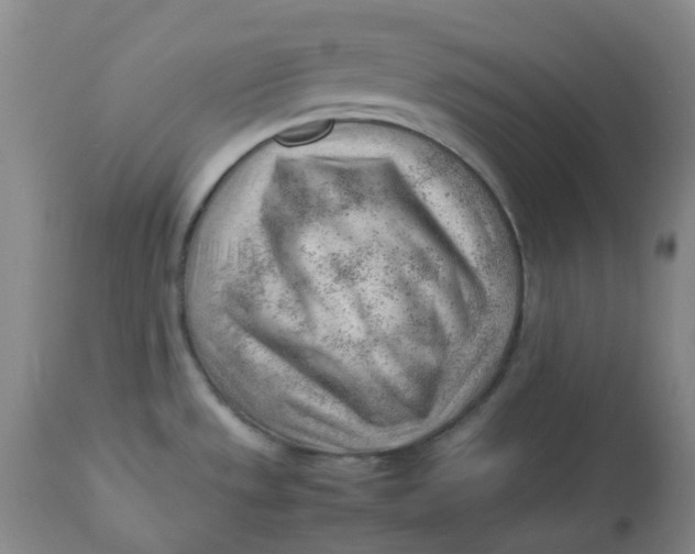 X0000112811533200909111248