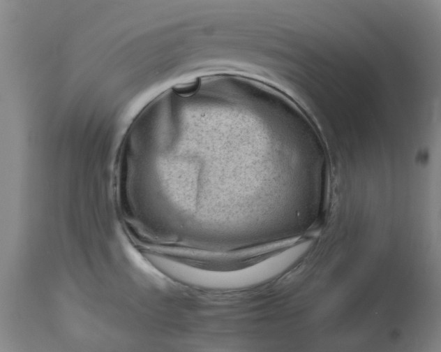 X0000112811535200909111248