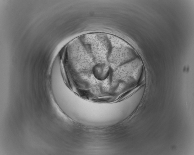 X0000112811536200909111248