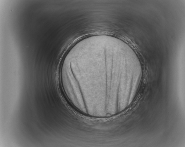 X0000112810002200909181559