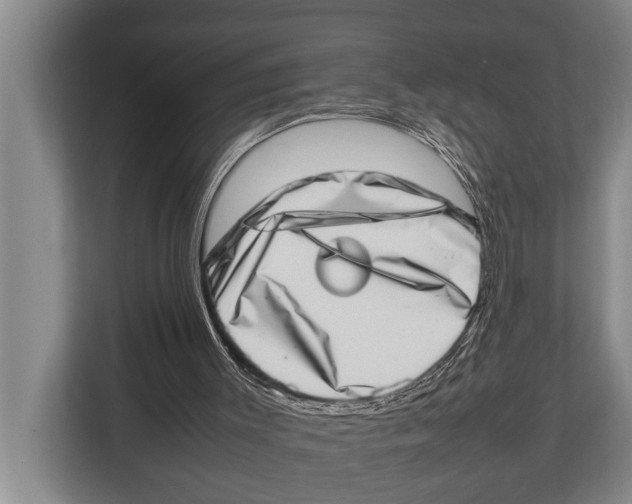 X0000112810003200909181559