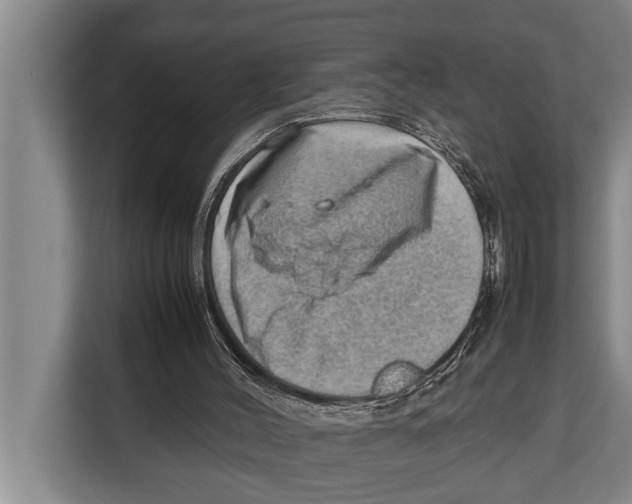X0000112810004200909181559