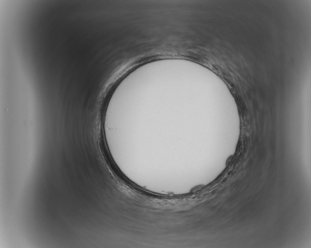 X0000112810005200909181559