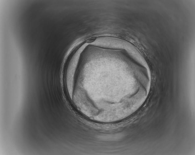 X0000112810006200909181559