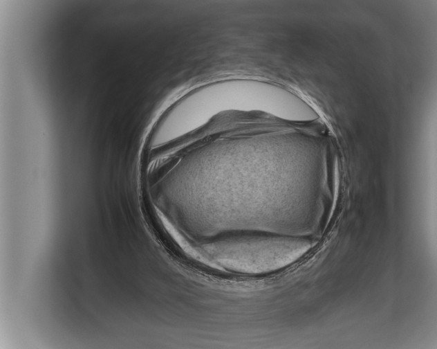 X0000112810008200909181559