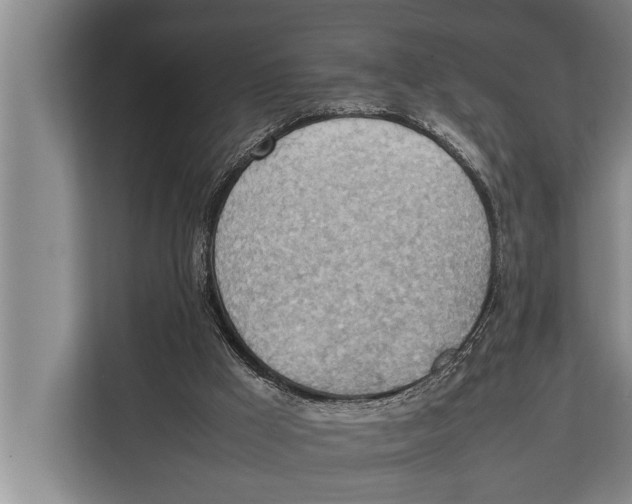 X0000112810009200909181559