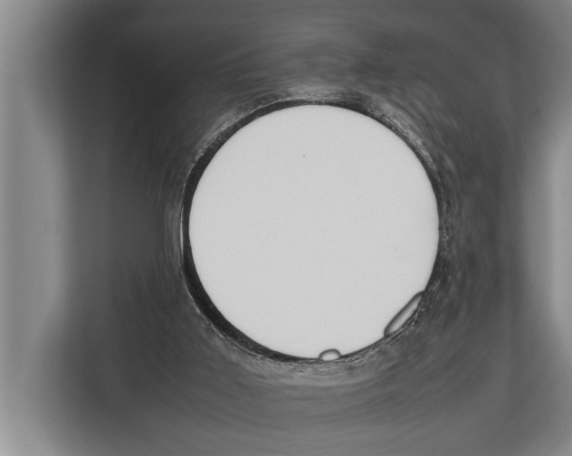X0000112810011200909181559