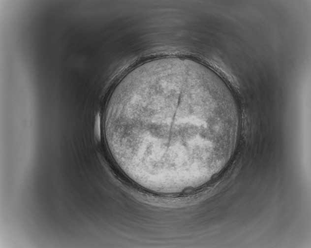 X0000112810014200909181559