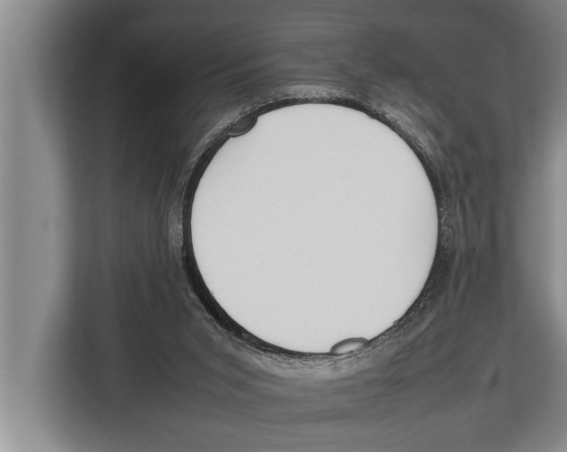 X0000112810015200909181559