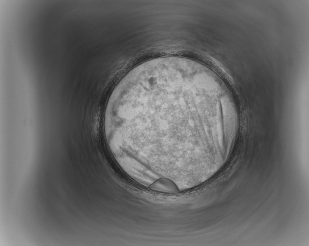 X0000112810018200909181559
