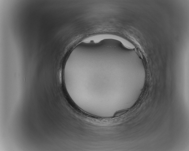 X0000112810019200909181559