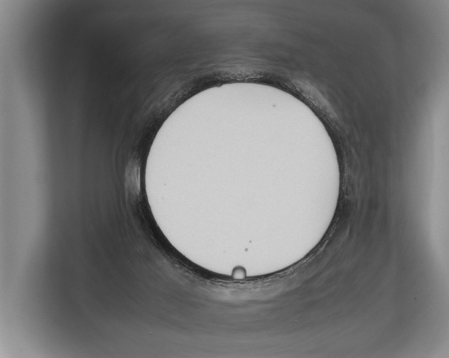 X0000112810021200909181559