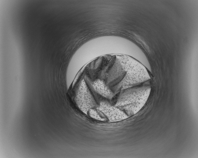X0000112810025200909181559