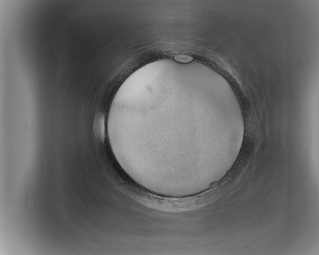 X0000112810027200909181559