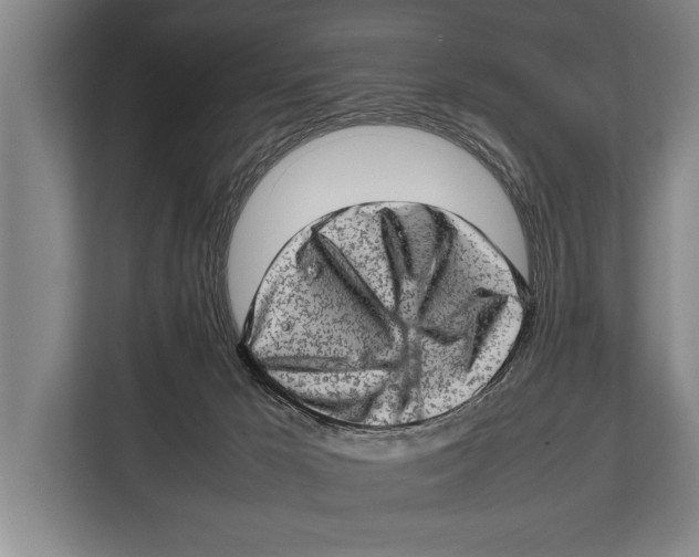 X0000112810029200909181559