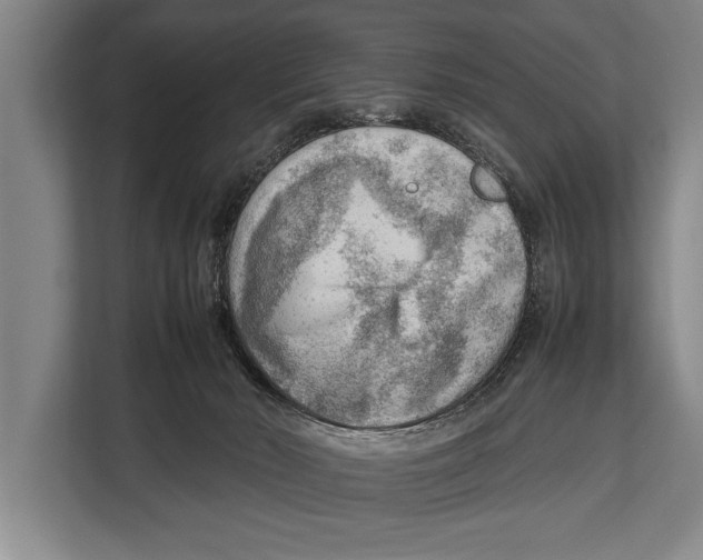 X0000112810030200909181559