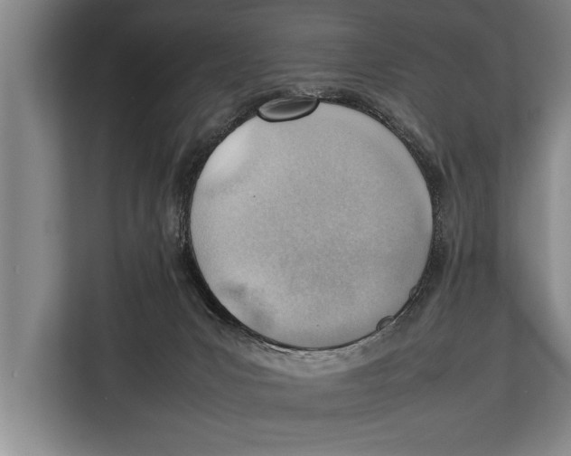 X0000112810031200909181559