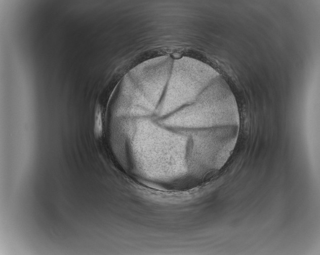 X0000112810042200909181559