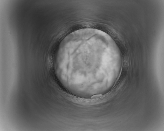 X0000112810043200909181559