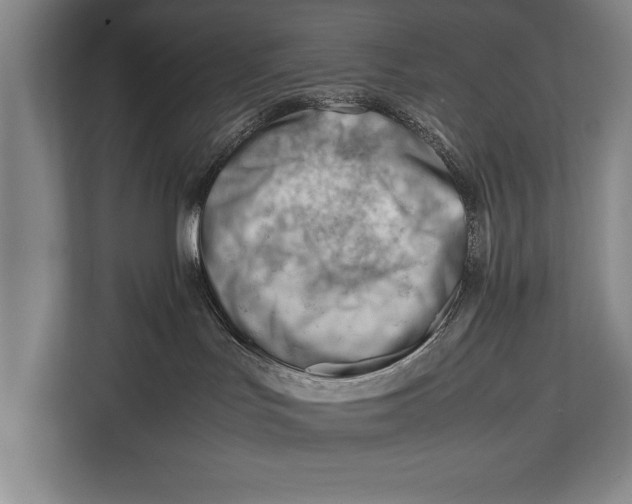 X0000112810047200909181559