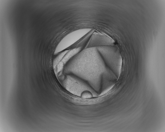 X0000112810048200909181559