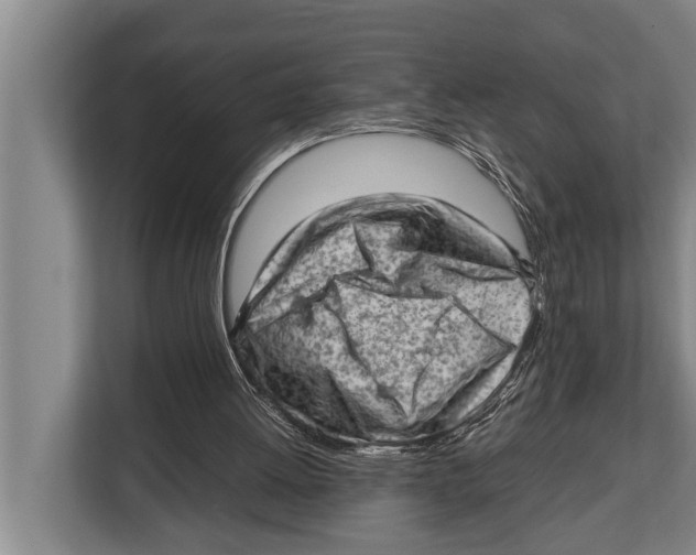 X0000112810052200909181558
