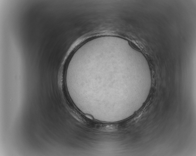X0000112810056200909181558