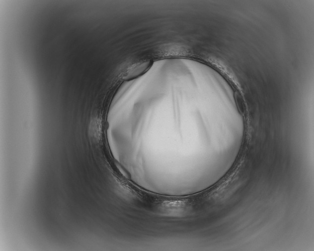 X0000112810057200909181558
