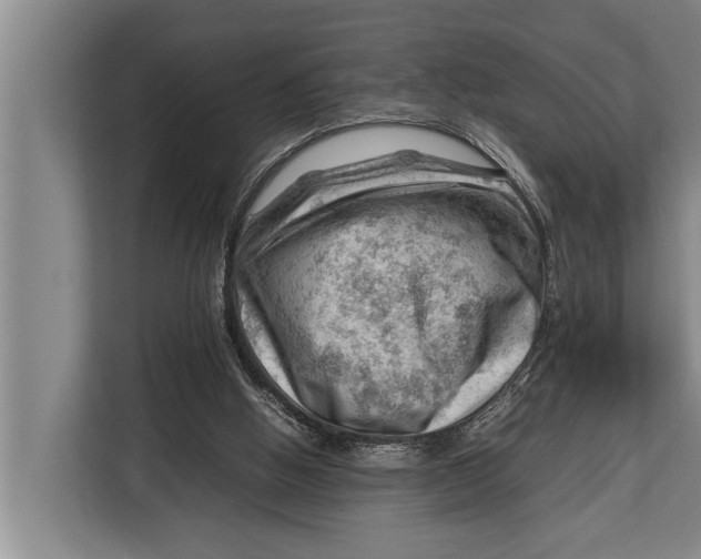 X0000112810058200909181558