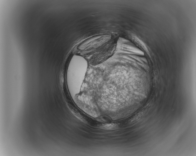 X0000112810059200909181558