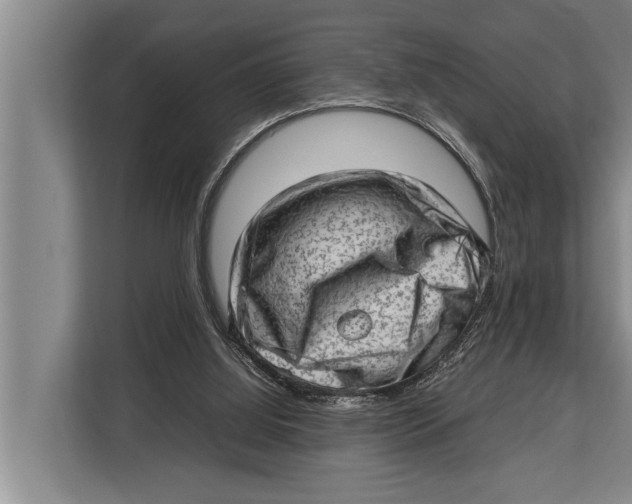 X0000112810060200909181558