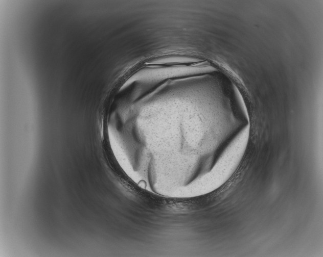 X0000112810062200909181558