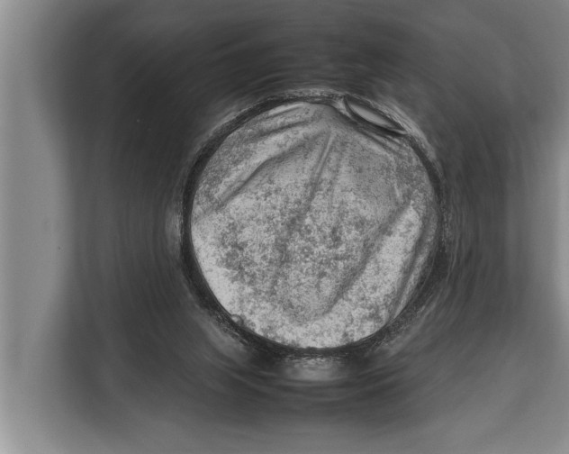 X0000112810063200909181558