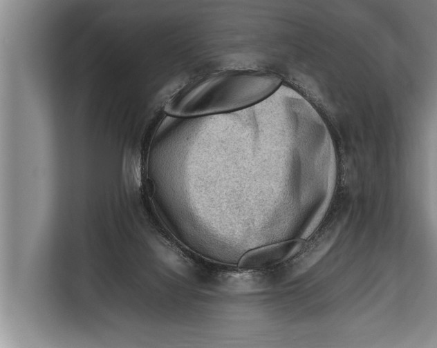 X0000112810068200909181558