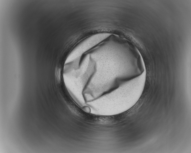 X0000112810070200909181558