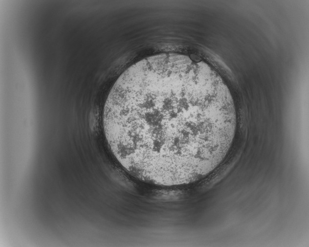 X0000112810073200909181558