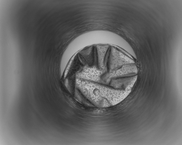 X0000112810080200909181559